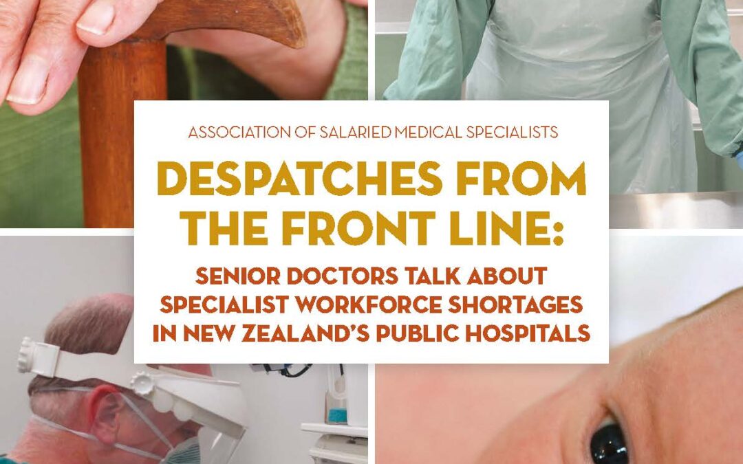 Despatches from the front line: senior doctors talk about specialist workforce shortages in New Zealand’s public hospitals