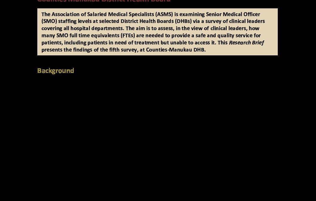 Counties Manukau DHB staffing survey research brief_168687.2