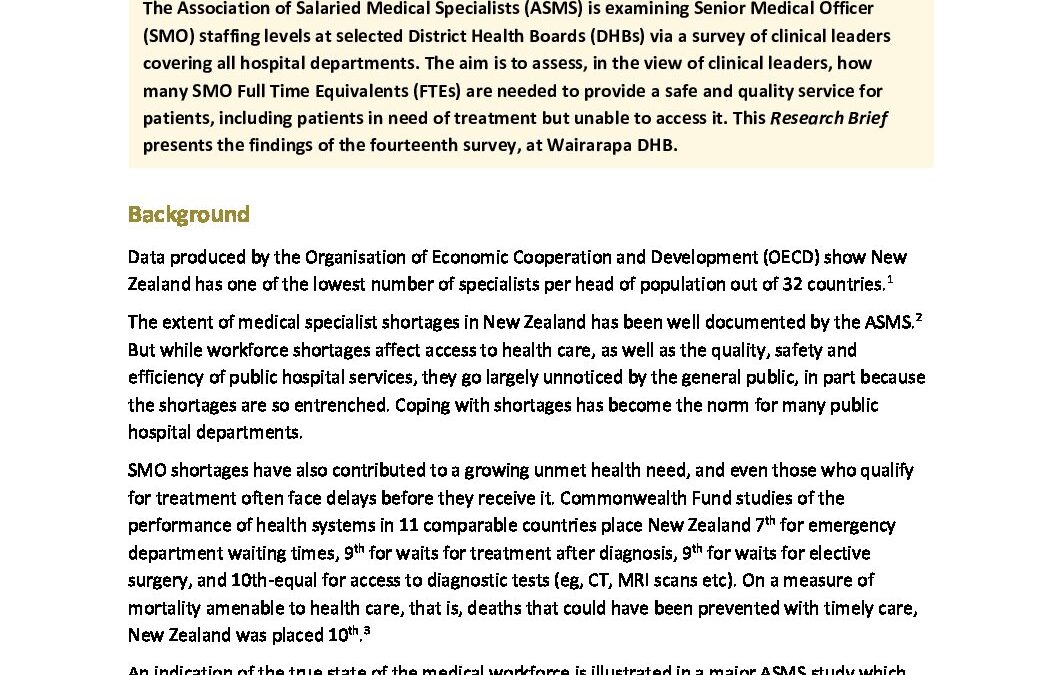 Wairarapa staffing survey research brief Issue 24